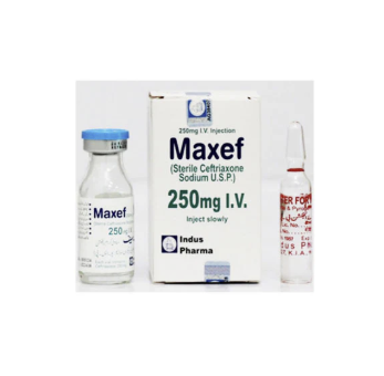 Maxef 250mg Iv Injection
