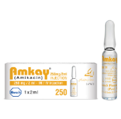 Amkay 250mg Injection