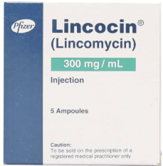 Lincocin 300mg Injection 2Ml