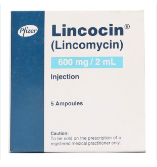 Lincocin 600mg Injection 2ml
