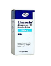 Lincocin Capsules 500mg