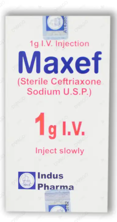 Maxef 1G Iv Injection