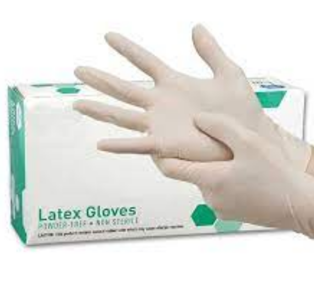 Latex Gloves (L)